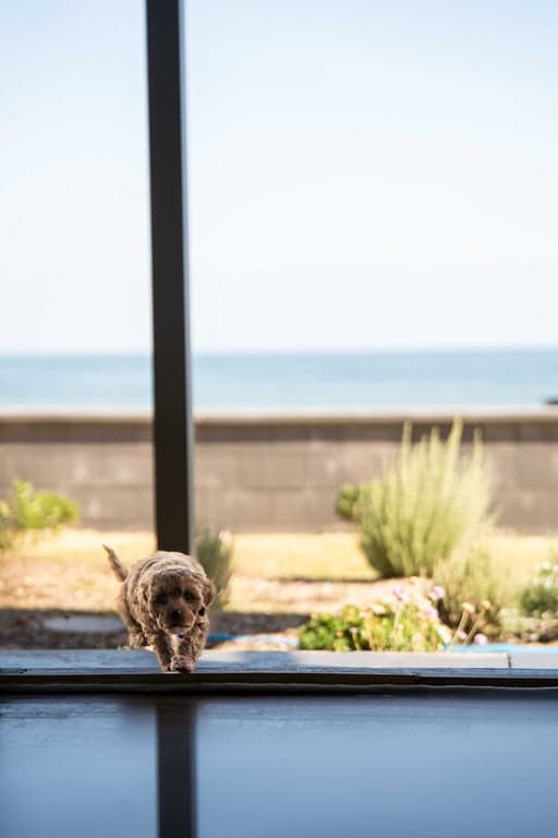 Furnished 2 Bedroom House in Henley Beach South