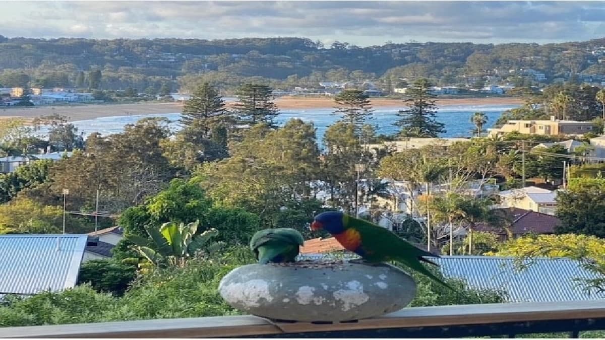 Furnished 4 Bedroom House in Avoca Beach
