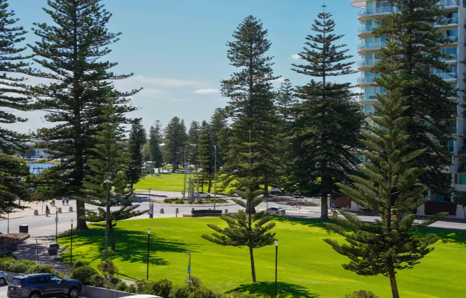 Furnished 1 Bedroom House in Glenelg