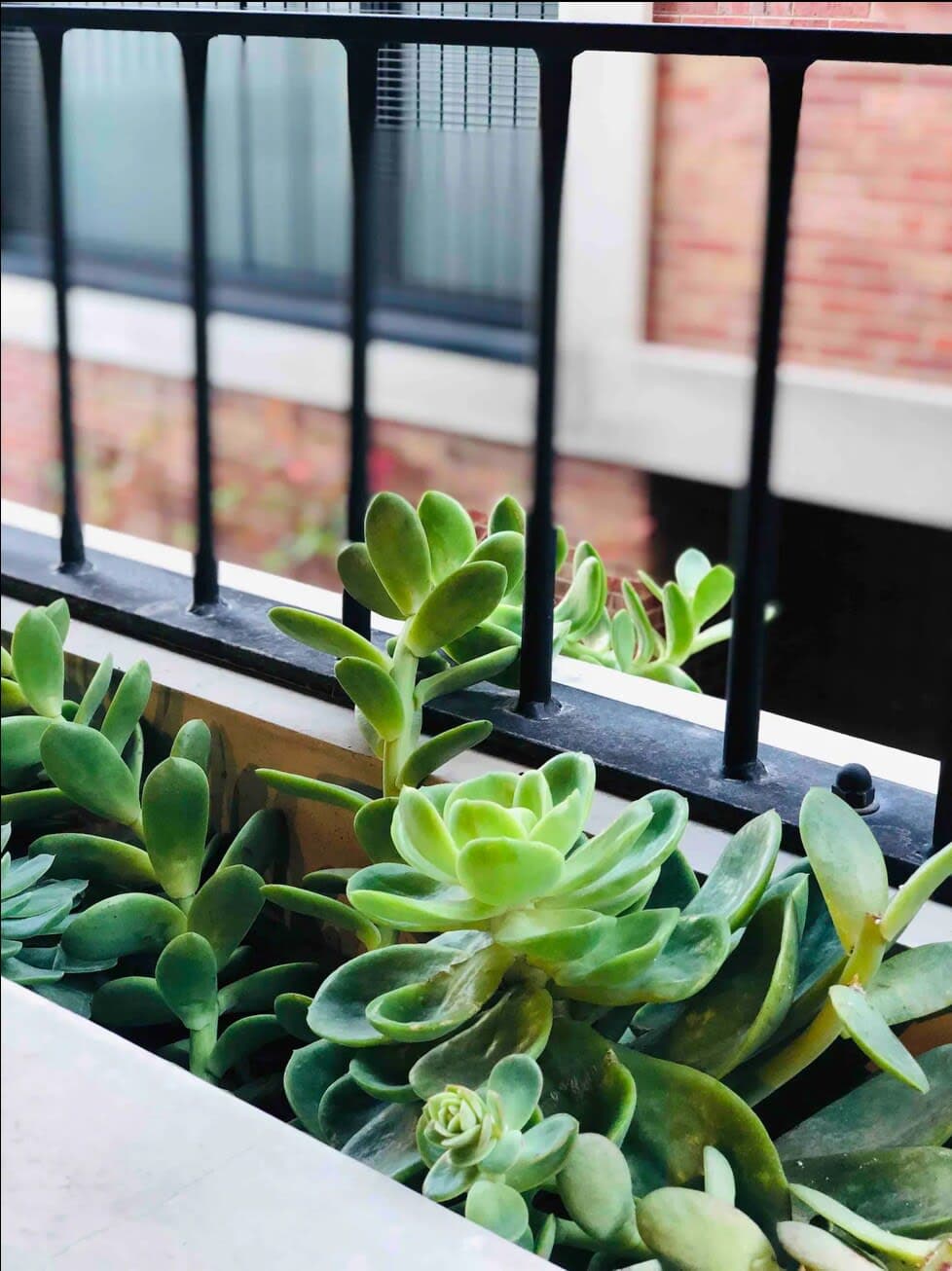 Furnished 2 Bedroom Apartment in Fitzroy